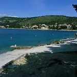 Dora Ražanj